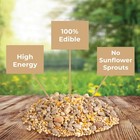 Kaytee Wild Bird No Mess Or Waste Free Food Seed Blend For Blue Jays  Woodpec   