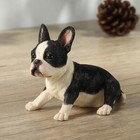 Boston Terrier Puppy Hand Painted Polystone Animal Figurine