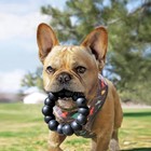 Kong   Extreme Ring Dog Toy  Xl