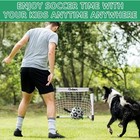 Dog Soccer Balls Sports Mini Soccer Goal Set - Soccer Ball With Straps