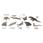 Venomous Creatures Toob Mini Figures Safari Ltd 679504  New In Stock