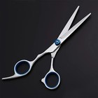 Professional Salon Hair Cutting Thinning Scissors Barber Shears Hairdressing Set