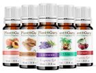 Fragrance Oil 10 Ml  For Candle Soap Incense Making Burner Scented Oils Bulk Lot