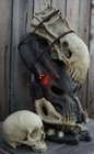 Predator Helmet