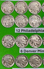Starter Buffalo Nickels Set Of 24 Different Coins Dated 1920-1937 Pds  24a