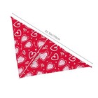 Valentine s Day Love Arrow Red Dog Bandana Scarf Triangle Bibs One Size White10
