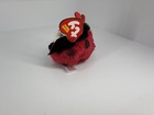 2023 Ty Beanie Balls Typuff Izzy The  Ladybug 3    Plush