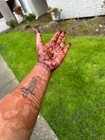 100  Organic Homemade Henna Mehndi Cones - 10grams Each - Pack Of 3