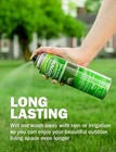 Seymour 20-602 Grass And Shrub Renew Spray Paint  Pristine Green  17 Oz  