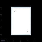 Old Vintage Photo Woman Standing Outside House