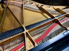Steinway A Grand Piano - See Video