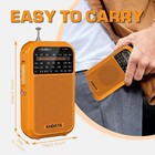 D220 Portable Radio Am Fm Sw Shortwave Radio Receiver Pocket Radio  2 Aa Battery