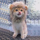 Cat Lion Clothes Hair Funny Pet Mane Wig Headgear Hat Dress Costume U Prof J5f8