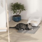 Double Layer Cat Litter Mat Trapping Honeycomb Soft Waterproof Kitty Litter Mat