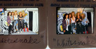 Whitesnake Rock Band Vintage 1980 s Original 35mm Slide Transparency Photos 748