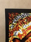     pearl Jam   5 16 2025 Ppg Paints Arena Pittsburgh Pa   Klausen Poster   Ap 200