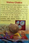 Energized Vishnu Chakra Shell Conch Yantra Chakra Laxmi Pooja Hindu Religious