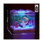 Small Betta Fish Tank  Aquarium Tank Kit With Led Lighting  0 6 Gallon Stacka   