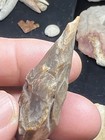 St Group 100  Authentic Archaic Indian Flint Knife Tool From Wolf Fam Coll