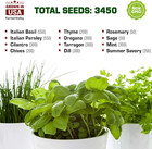 12 Heirloom Culinary And Medicinal Herb Seeds For Planting - Non Gmo  And Usa Gr