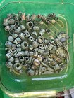 Ancient Roman Lots Beads 2000  Years Old