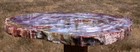 Sis  Color Explosion 16  Arizona Rainbow Petrified Wood Conifer Round 