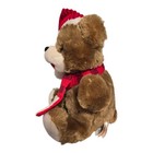 Dan Dee Collector s Choice Snowflake Teddy Bear 13  2017 Christmas Plush  