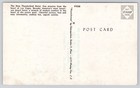 Vintage Thunderbird Hotel Casino Las Vegas Nevada Postcard Plasticchrome
