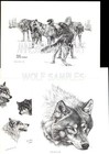  322 Wolf Pack    Wildlife Art Print Pen And Ink Drawing By Jan Jellins