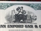 1969 Canadian Export Gas   Oil Limited 100 Shares Stock Certificate