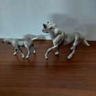 Hagen Lineker Horse