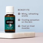 Young Living Peppermint 15ml 100  Pure Sealed Essential Oil Free Shipping