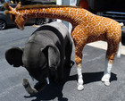 Large Hansa Elephant   Giraffe Stuffed Animals - 51    41  Tall - Denver Pa