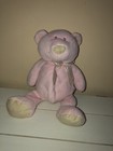 Baby Ganz Pink Bear Plush Stuffed Animal Rattle Toy Lovey 8 5    Sitting