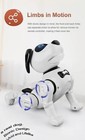 Remote Control Robot Dog Toy For Kids With Voice  Walking dancing interactive