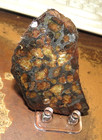 66 Gm Sericho Pallasite Meteorite Slice From Kenya Stand Olivine  13  Stand