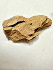Natural Ada Dragon Stone Ohko For Aquascaping Aquarium Rocks Planted Tank