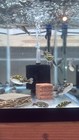 Figure 8 Puffer 3 Inch  tetraodon Biocellatus  Live Fish Free Shipping