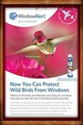 Window Alert Anti-collision Clings Decals Prevent Window Strikes Hummingbird