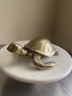 Large Brass Sea Turtle 9 25  Long