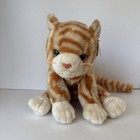 Nwt Ty Beanie Buddies Amber Cat Baby Plush 11  Orange Stripe Kitty 1999