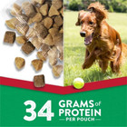 Purina Dog Chow Soft Bites Dog Food - Grilled Steak Flavor  60 Count Pack