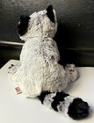 Ganz Webkinz Raccoon 8  Beanbag Plush Gray Black Hm143 No Code