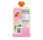 Pumpkin Tree Peter Rabbit Organics Strawberry Banana Pure Fruit Snack  4oz  10pk
