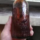 Pabst Brewing Co Baltimore Branch Emb Hop Leaves 1905 Pre Prohibition Pabst Beer