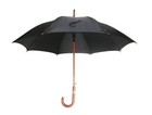 Stick Umbrella  J Handle Umbrella