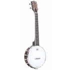 Gold Tone But Tenor Banjo Uke Banjolele W  Case