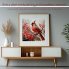 Cardinal Diamond Art Kits For Adults  5d Diamond Painting Kits For Beginners  Di