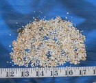   Gem Shells   White ivory purple    unsorted    1 Tbsp   Sailor s Valentines  