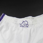 Tcu Horned Frogs Nike Team Game Shorts Men s White purple Used